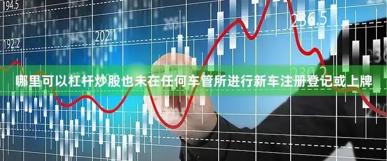 哪里可以杠杆炒股也未在任何车管所进行新车注册登记或上牌