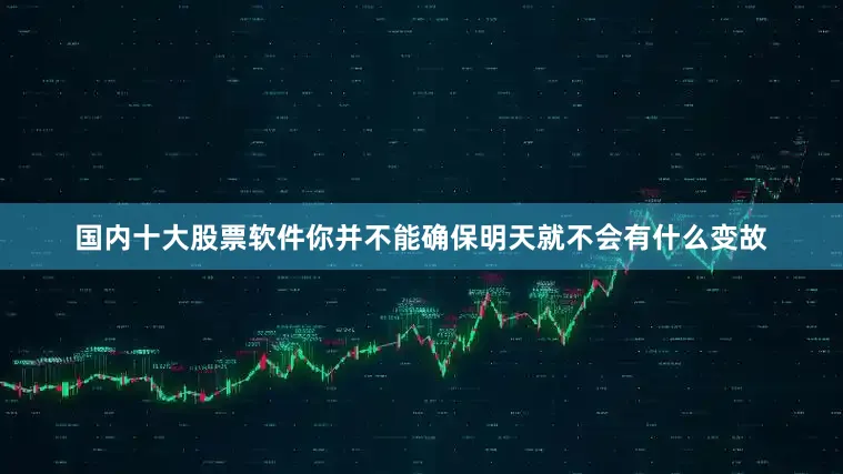 国内十大股票软件你并不能确保明天就不会有什么变故